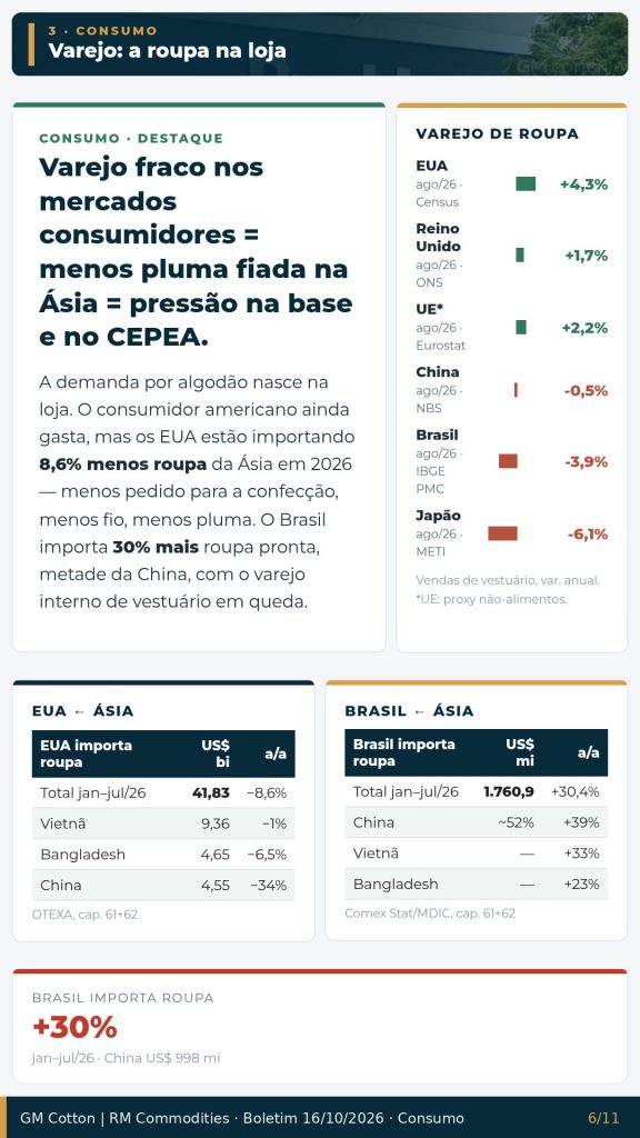 Revista GM Cotton 16/10/2026 – página 6 de 11