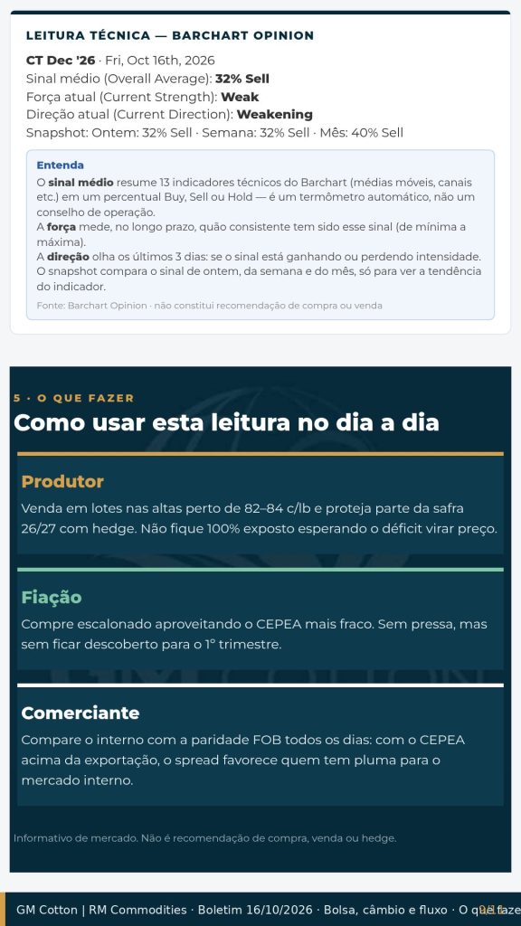 Revista GM Cotton 16/10/2026 – página 9 de 11